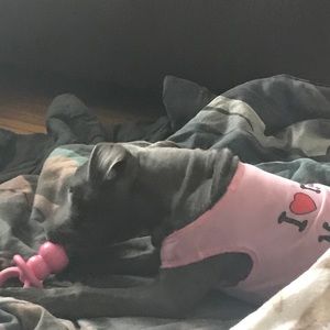 Meet your Posher, Jaclyn